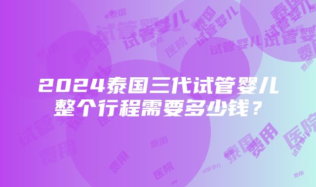 2024泰国三代试管婴儿整个行程需要多少钱？