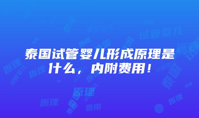 泰国试管婴儿形成原理是什么，内附费用！