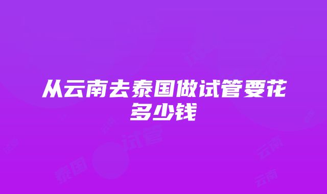 从云南去泰国做试管要花多少钱