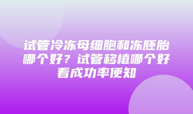 试管冷冻母细胞和冻胚胎哪个好？试管移植哪个好看成功率便知