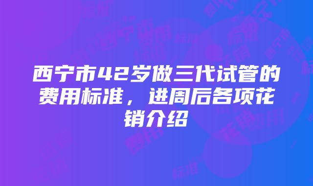 西宁市42岁做三代试管的费用标准，进周后各项花销介绍