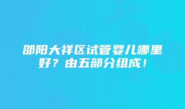 邵阳大祥区试管婴儿哪里好？由五部分组成！