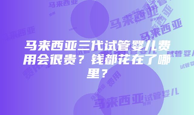 马来西亚三代试管婴儿费用会很贵？钱都花在了哪里？