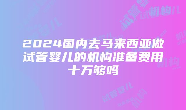 2024国内去马来西亚做试管婴儿的机构准备费用十万够吗