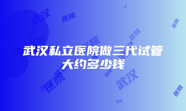 武汉私立医院做三代试管大约多少钱