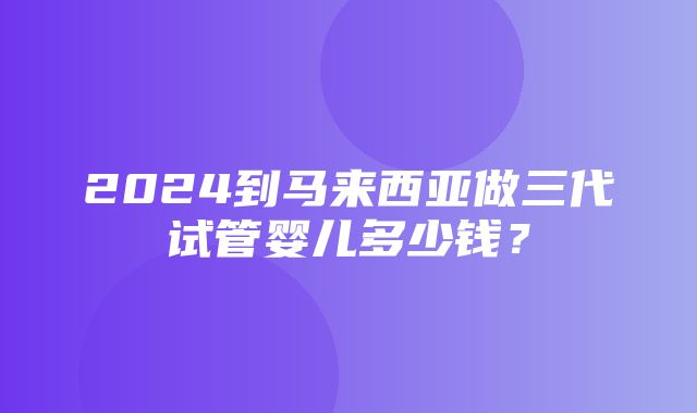 2024到马来西亚做三代试管婴儿多少钱？