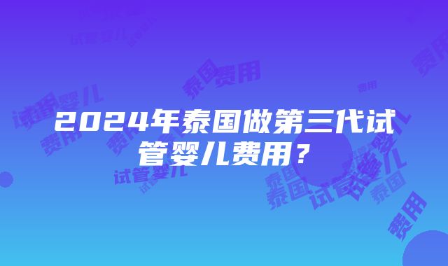 2024年泰国做第三代试管婴儿费用？