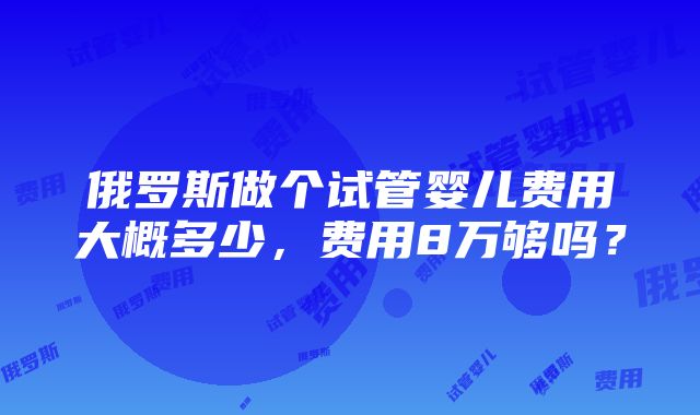 俄罗斯做个试管婴儿费用大概多少，费用8万够吗？