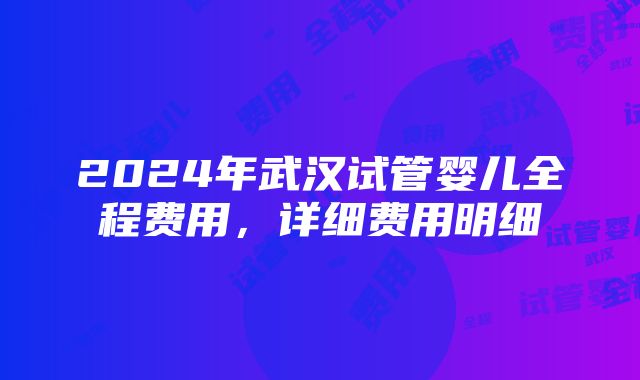 2024年武汉试管婴儿全程费用，详细费用明细