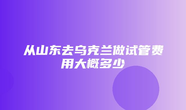 从山东去乌克兰做试管费用大概多少