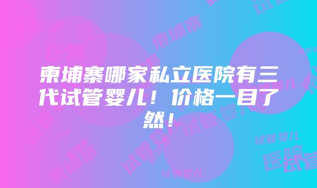 柬埔寨哪家私立医院有三代试管婴儿！价格一目了然！