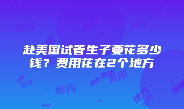 赴美国试管生子要花多少钱？费用花在2个地方