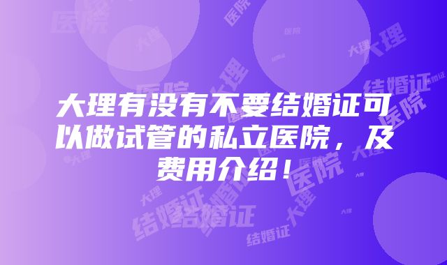 大理有没有不要结婚证可以做试管的私立医院，及费用介绍！