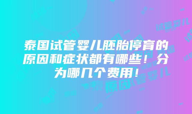 泰国试管婴儿胚胎停育的原因和症状都有哪些！分为哪几个费用！