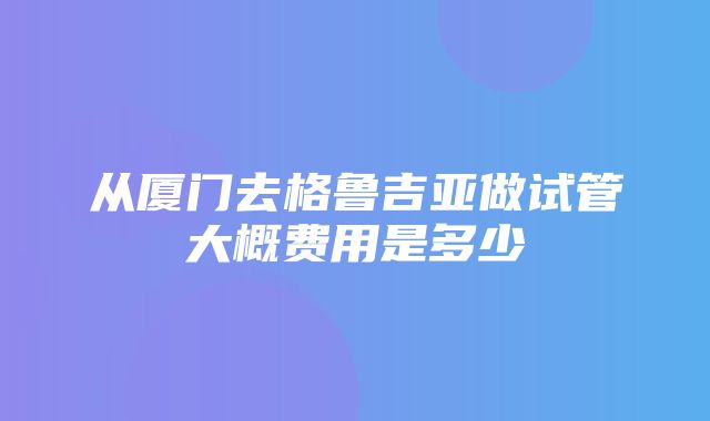 从厦门去格鲁吉亚做试管大概费用是多少