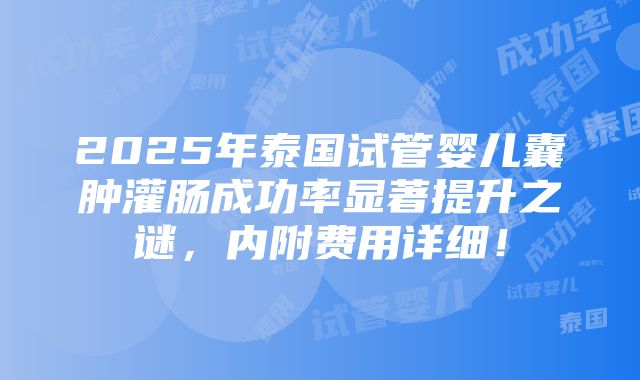 2025年泰国试管婴儿囊肿灌肠成功率显著提升之谜，内附费用详细！