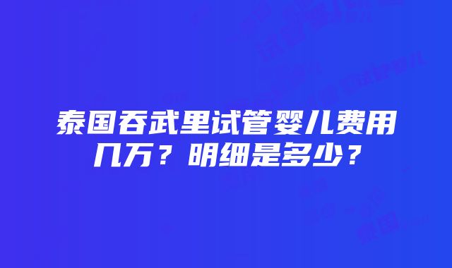 泰国吞武里试管婴儿费用几万？明细是多少？