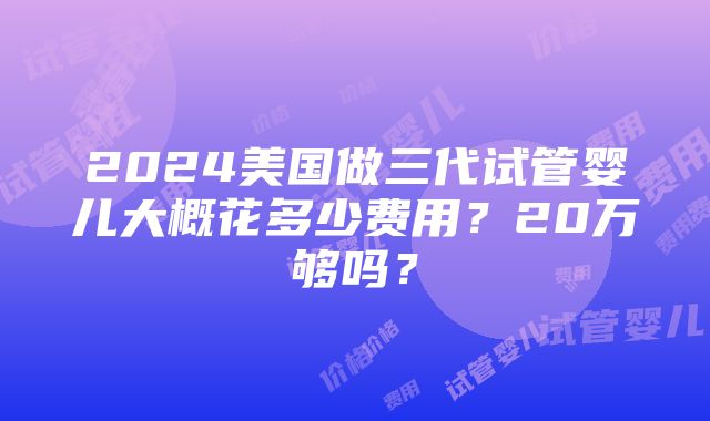 2024美国做三代试管婴儿大概花多少费用？20万够吗？