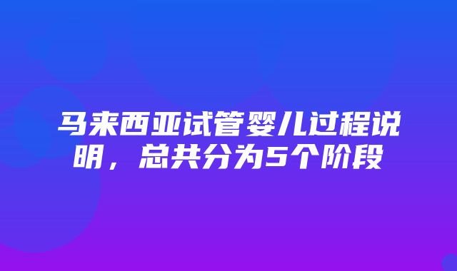 马来西亚试管婴儿过程说明，总共分为5个阶段