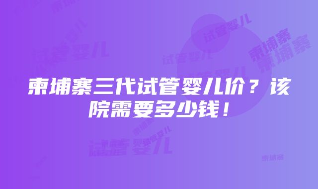 柬埔寨三代试管婴儿价？该院需要多少钱！