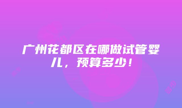 广州花都区在哪做试管婴儿，预算多少！