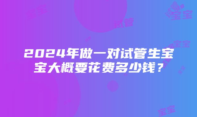 2024年做一对试管生宝宝大概要花费多少钱？