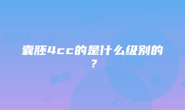 囊胚4cc的是什么级别的？