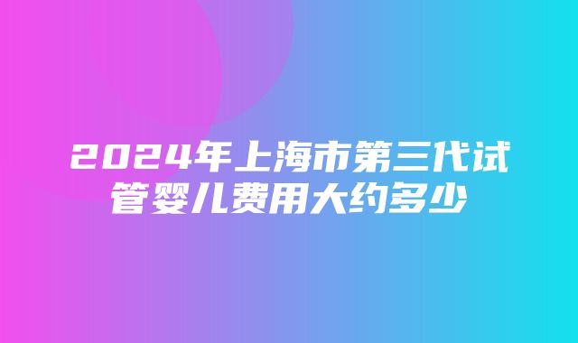 2024年上海市第三代试管婴儿费用大约多少