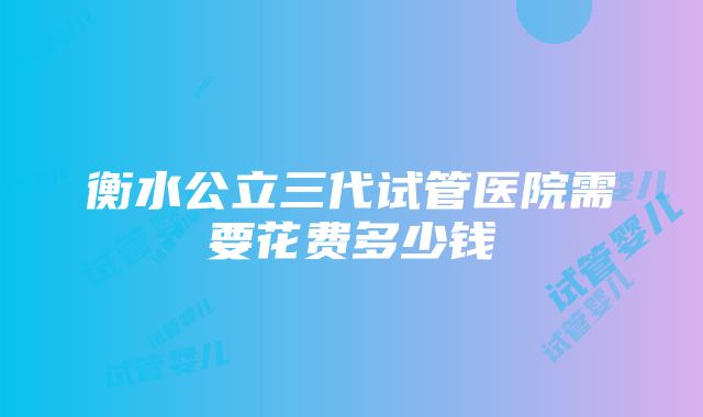 衡水公立三代试管医院需要花费多少钱