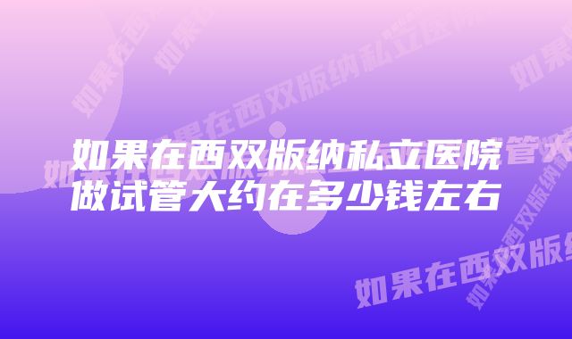 如果在西双版纳私立医院做试管大约在多少钱左右