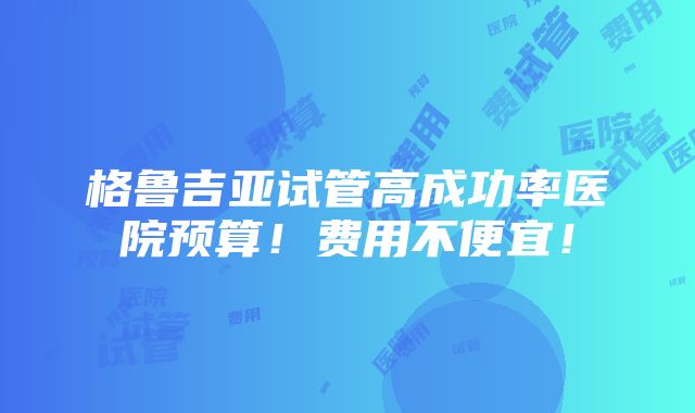 格鲁吉亚试管高成功率医院预算！费用不便宜！