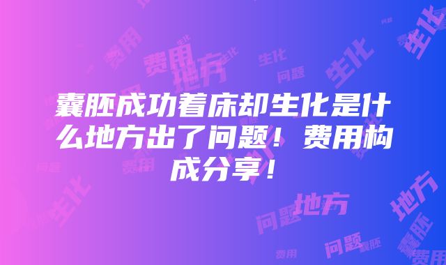 囊胚成功着床却生化是什么地方出了问题！费用构成分享！