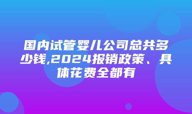 国内试管婴儿公司总共多少钱,2024报销政策、具体花费全都有