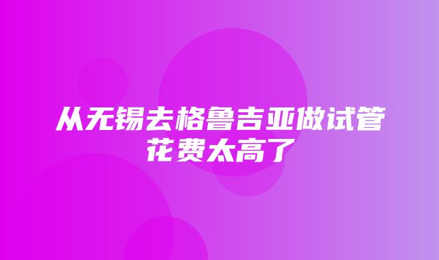 从无锡去格鲁吉亚做试管花费太高了