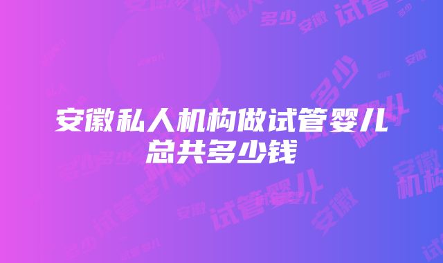 安徽私人机构做试管婴儿总共多少钱