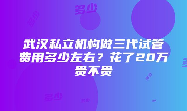 武汉私立机构做三代试管费用多少左右？花了20万贵不贵