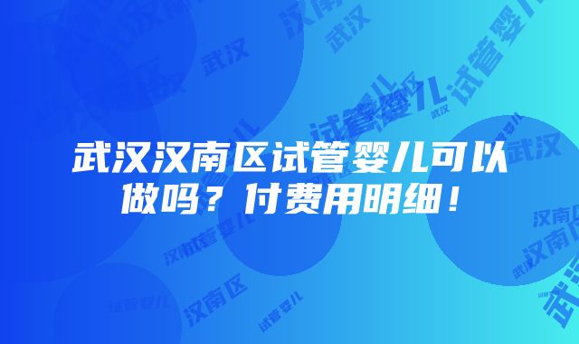 武汉汉南区试管婴儿可以做吗？付费用明细！