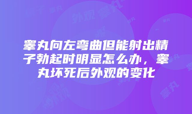 睾丸向左弯曲但能射出精子勃起时明显怎么办，睾丸坏死后外观的变化