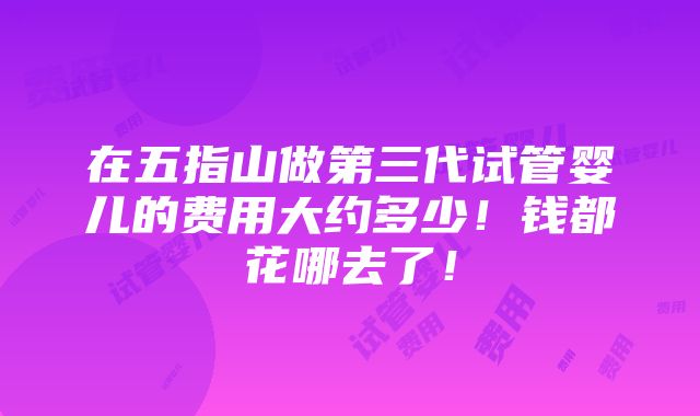 在五指山做第三代试管婴儿的费用大约多少！钱都花哪去了！