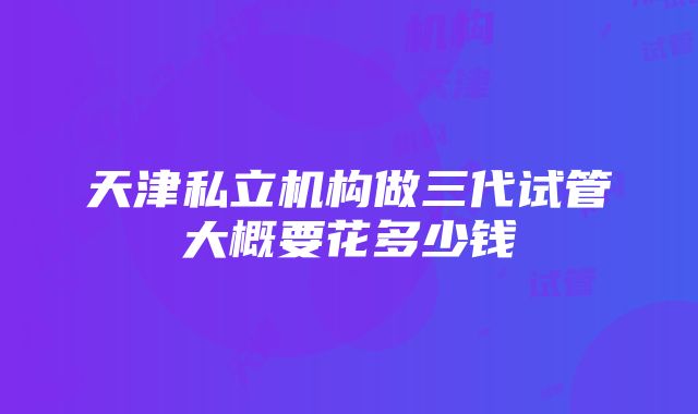 天津私立机构做三代试管大概要花多少钱