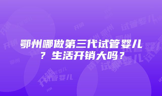 鄂州哪做第三代试管婴儿？生活开销大吗？