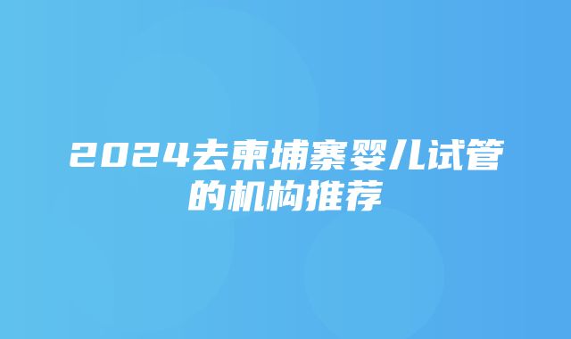 2024去柬埔寨婴儿试管的机构推荐