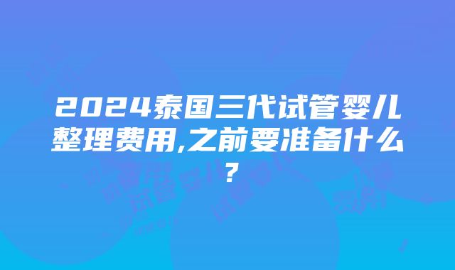 2024泰国三代试管婴儿整理费用,之前要准备什么？