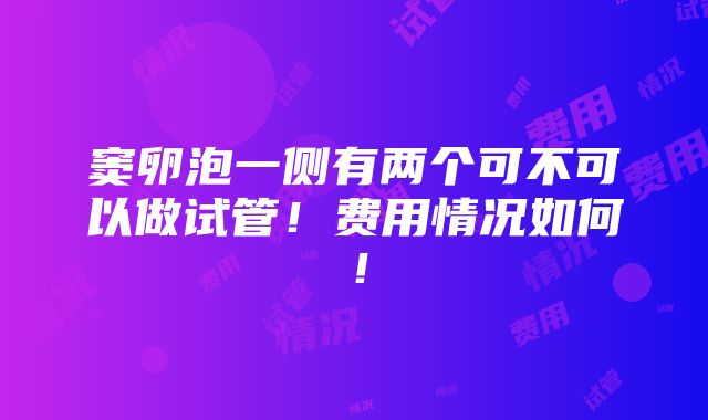 窦卵泡一侧有两个可不可以做试管！费用情况如何！