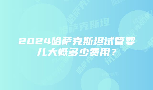 2024哈萨克斯坦试管婴儿大概多少费用？