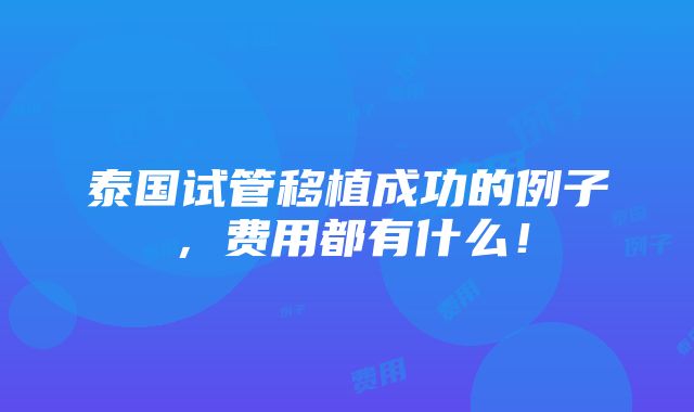 泰国试管移植成功的例子，费用都有什么！