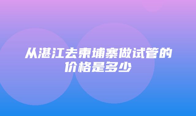 从湛江去柬埔寨做试管的价格是多少