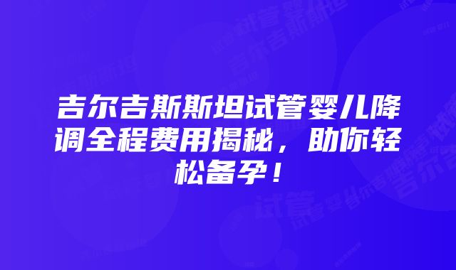 吉尔吉斯斯坦试管婴儿降调全程费用揭秘，助你轻松备孕！