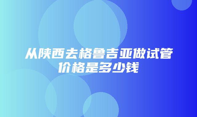 从陕西去格鲁吉亚做试管价格是多少钱