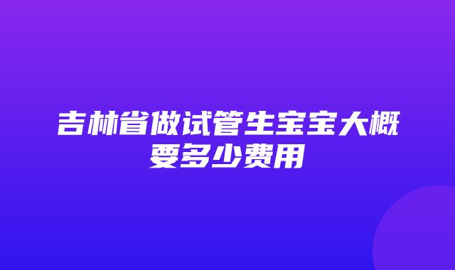 吉林省做试管生宝宝大概要多少费用